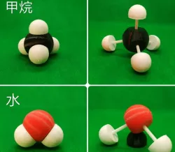 molecular model with Cotton bud 