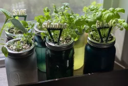 Plant Tags - Dual Color