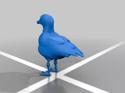 Seagull