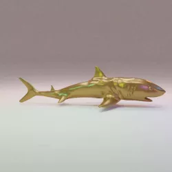 Shark 3D