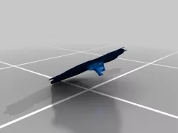 Shoe scan