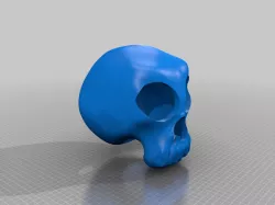 Skull Reptile Hide
