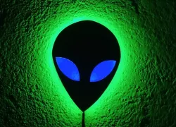Aliemp - Light Wall Decoration