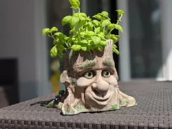 Cartoon-Style Tree Face Planter