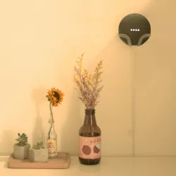 Google Home Mini - Wall Holder