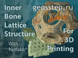 Inner Bone Lattice Structure