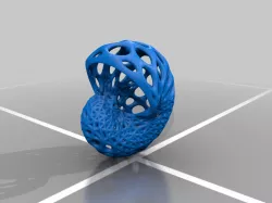 Orchid Mount in shell and dodehedron shape