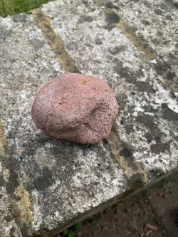Rock Geocache container