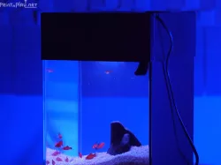 Simple all-in-one(AIO) fish tank aquarium cover v1.0 (for ABS)