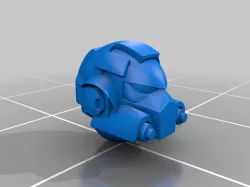 Space Bears Heads Gravity and Prime