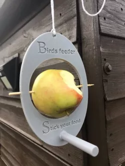 Bird Feeder - Stick your Food