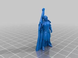 Elf Paladin