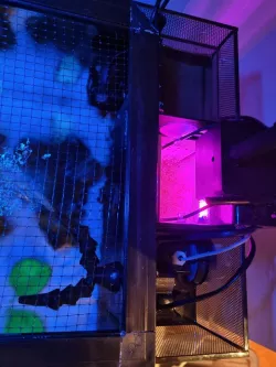 Fluval SEA Evo Refugium + Light Chamber 2