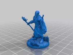 Half-Orc Druid