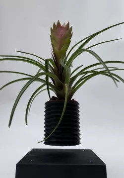 Levitating planter