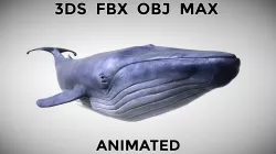 Blue Whale - with Octane Support Low-poly  3D model