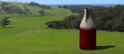 Bottle