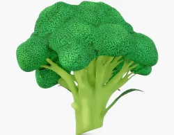Broccoli Vegetable 3D model