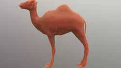 Camel Sculpt  3D model