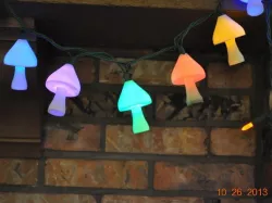 Christmas light covers