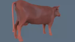 Cow Model 3D model