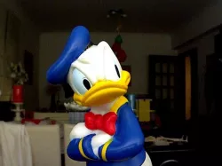 Donald