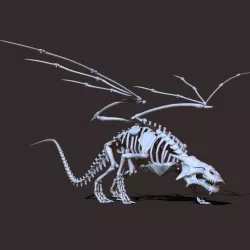 Dragon Skeleton 3D model