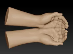 hands  3D model