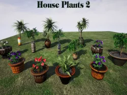 House Plants 2 for UNREAL Low-poly  3D model