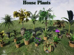 House Plants for UNREAL Low-poly  3D model