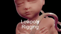 Human fetus Low-poly  3D model