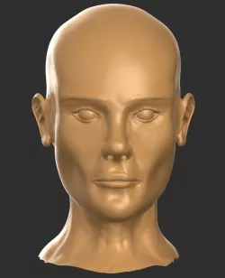 Human Head Male 3D model