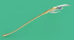 Loki's Chitauri Scepter