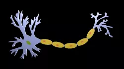 Low poly symbol neuron 1 Low-poly  3D model