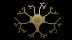 Low poly symbol neuron Low-poly  3D model