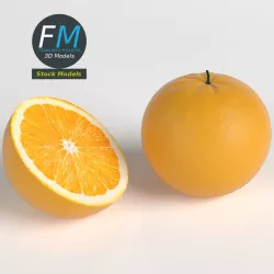 Oranges 3D model
