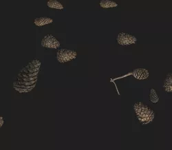 Pine Cone PBR Tillable Texture 3D model