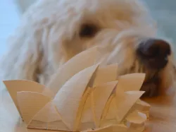 Sydney Opera House repaired