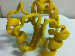 Thioredoxin protein