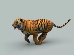 Tiger 3D model