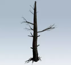 Tree charred trunk  3D model
