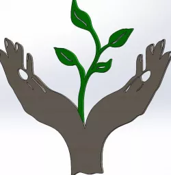 Hand Holding Plant