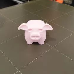 Little pig