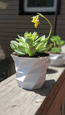 Low Poly Planter (Tall)