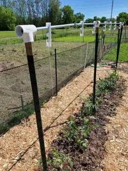 Lower and Lean Hook for Tomato/Cucumber/Zucchini String Trellis