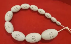 Orchidometer - Testicle Volume Meter