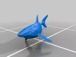 Shark Scan