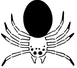 Spider stencil 4