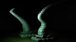 Tentacles