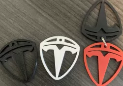 Tesla Keychain